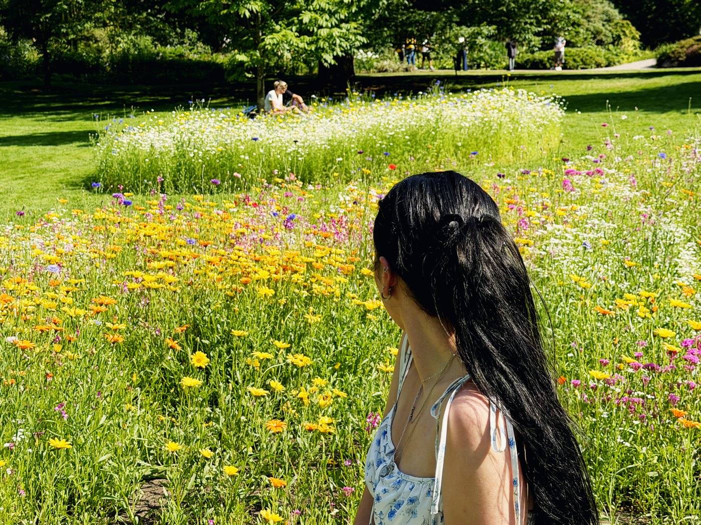 Emmy Bloom sitting in a wildflower meadow