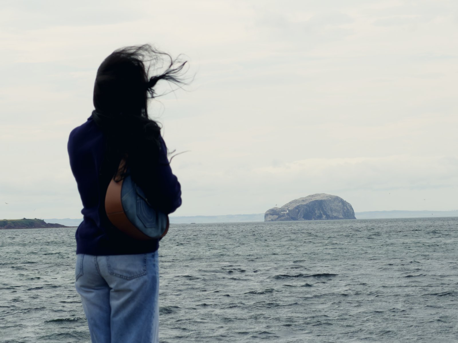Emmy Bloom watching the sea, hair in the wind